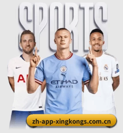 五个功能入口,赛程查询路径更短 - 多运动项目内容板块 | xingkong
